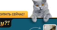 Интернет магазин системы приучение кота к унитазу - Domakot.ru.